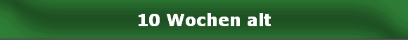10 Wochen alt