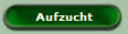 Aufzucht