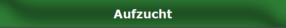 Aufzucht