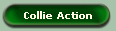 Collie Action