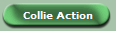 Collie Action