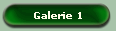 Galerie 1