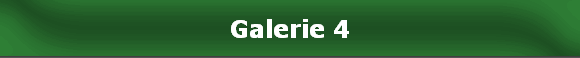 Galerie 4