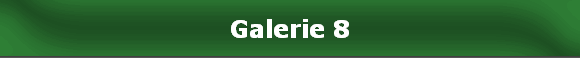 Galerie 8